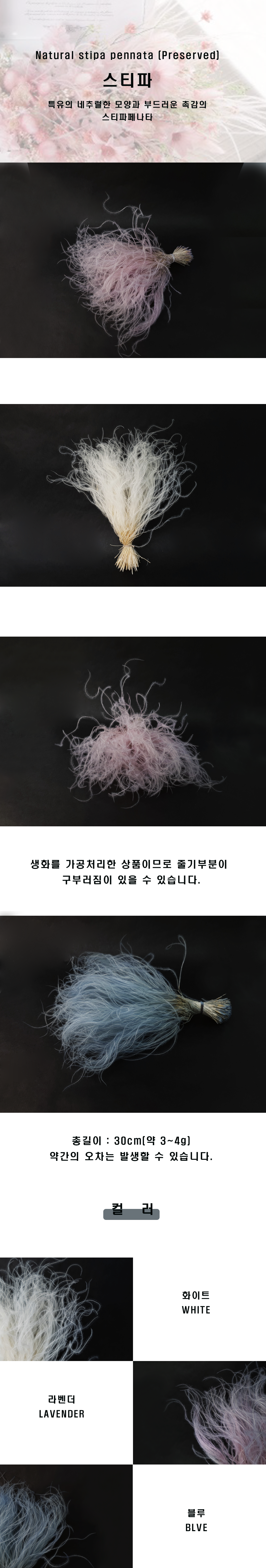 pFe00028-d1.png