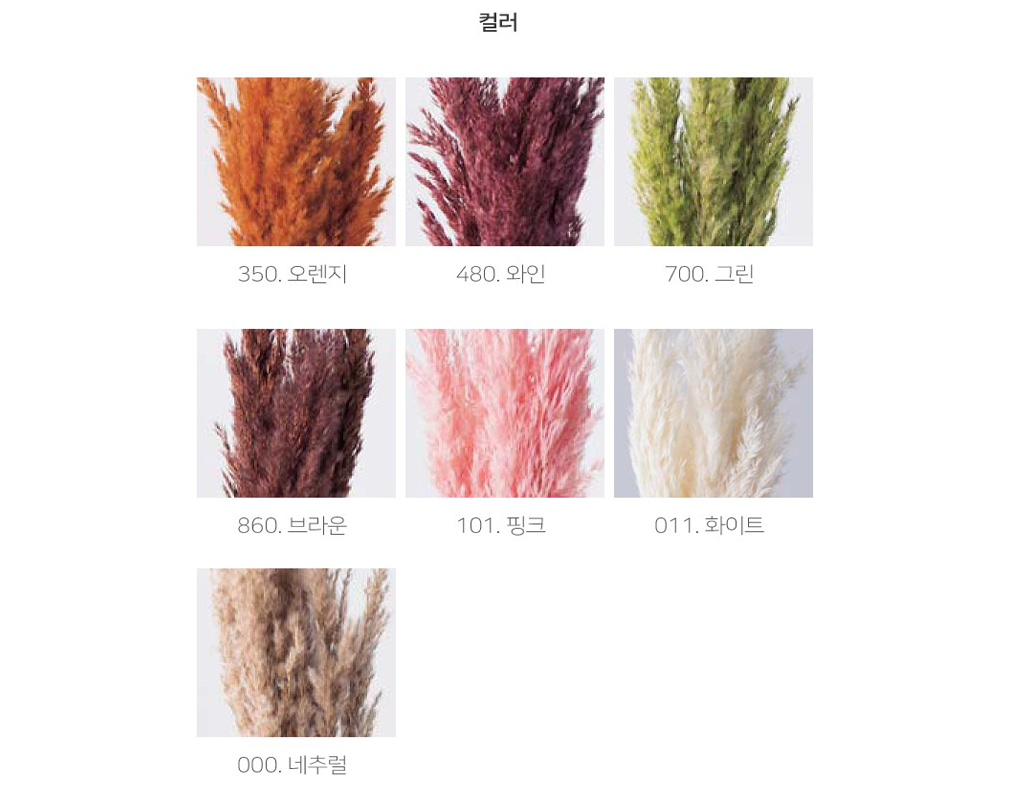pPan0027-d7.png