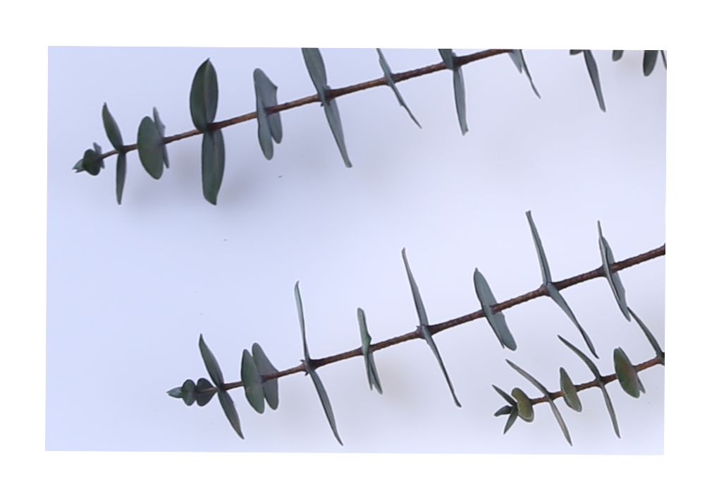 peu00022-13.png