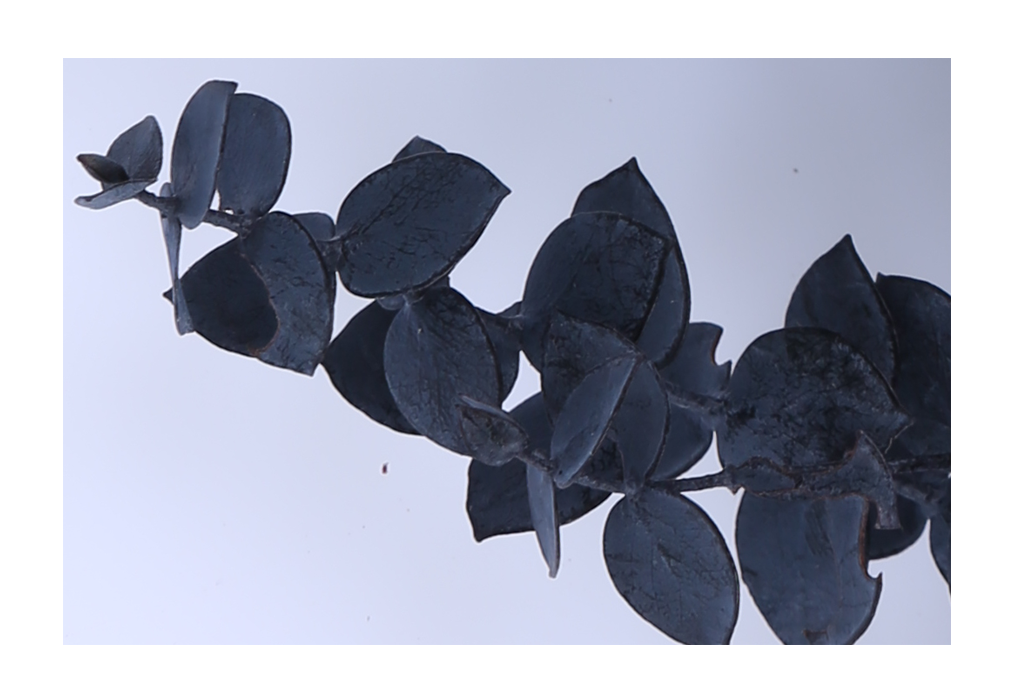 peu00022-14.png