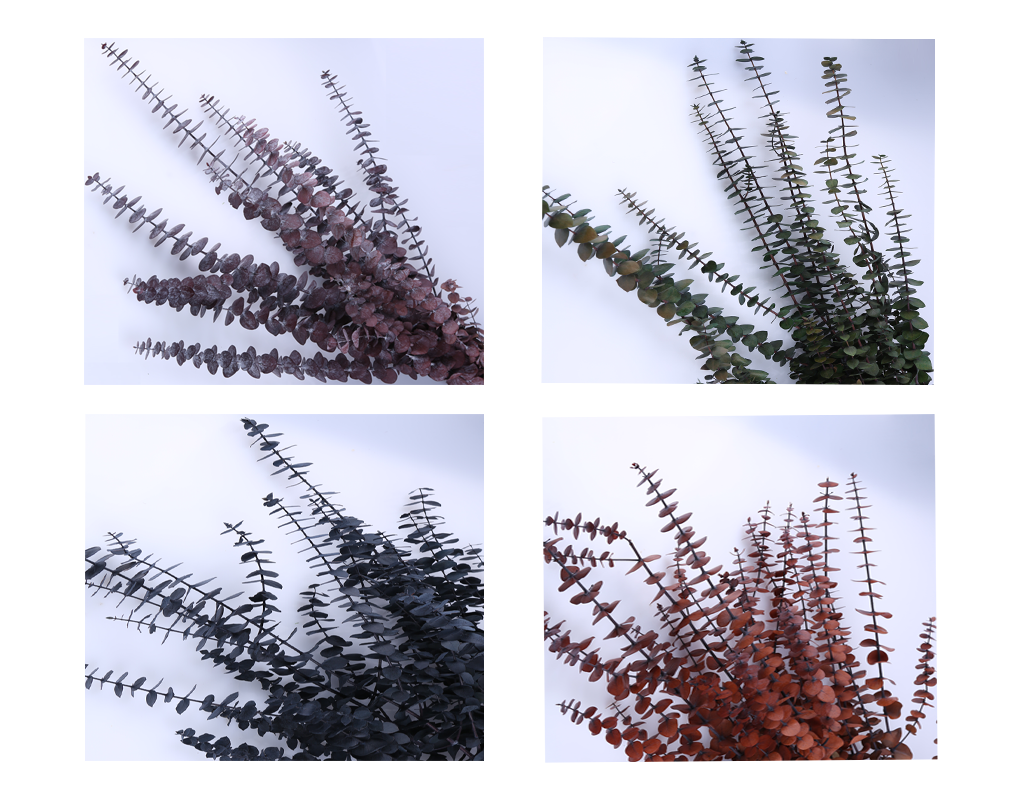 peu00022-d5.png