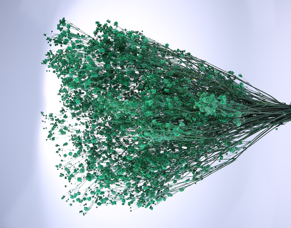 pfog0020-d5.png