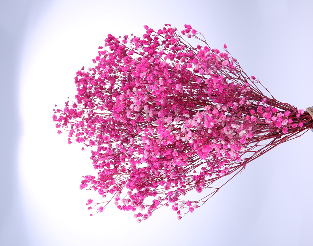 pfog0020-d6.png