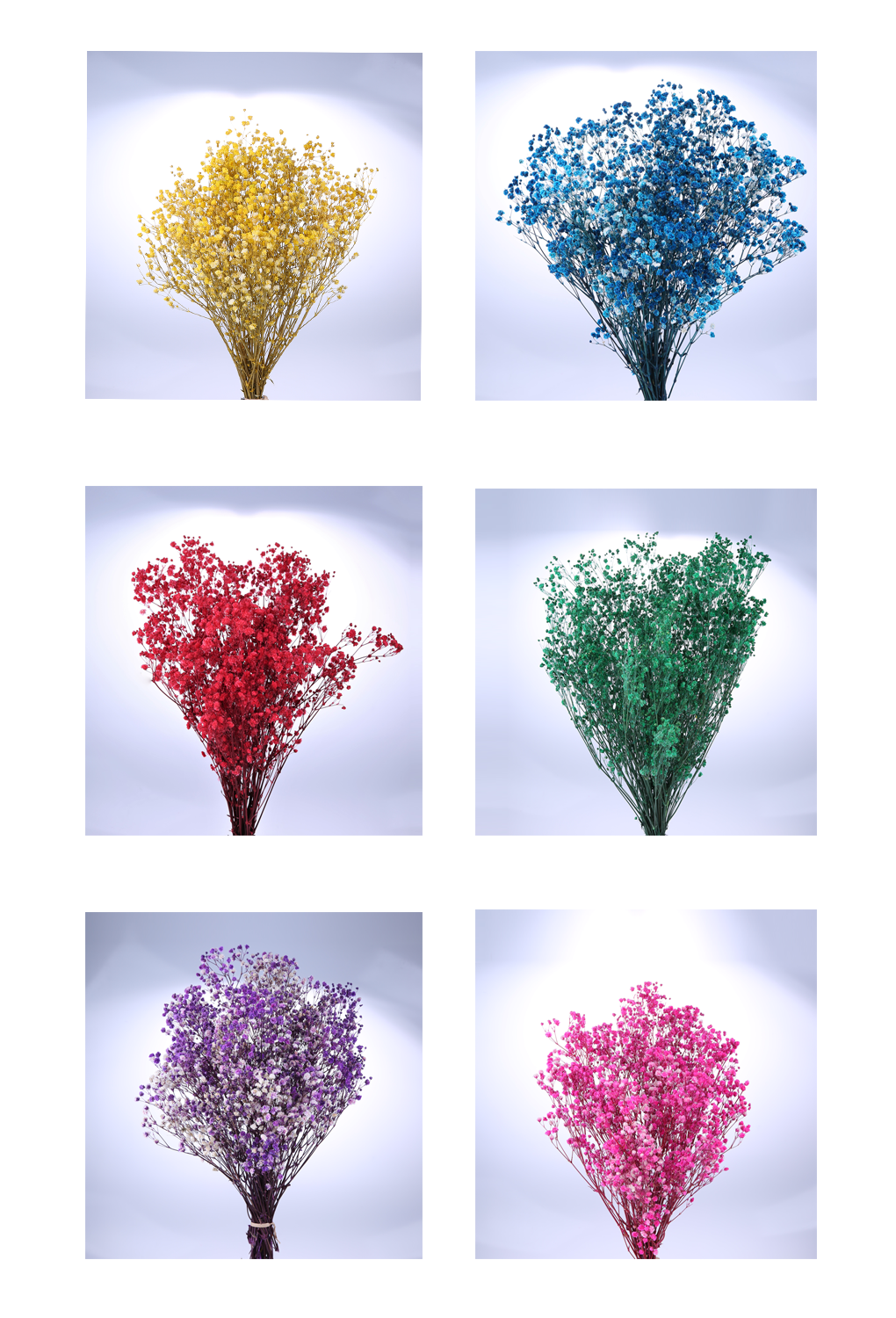 pfog0020-d9.png