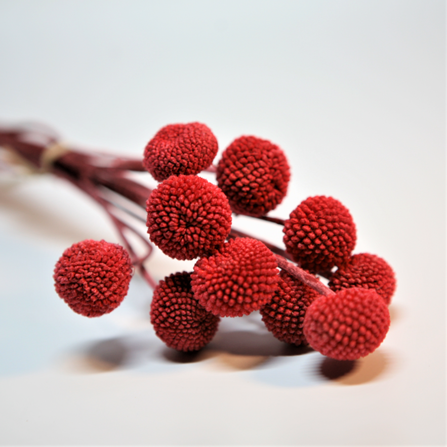 pk0001-d1a(5).png