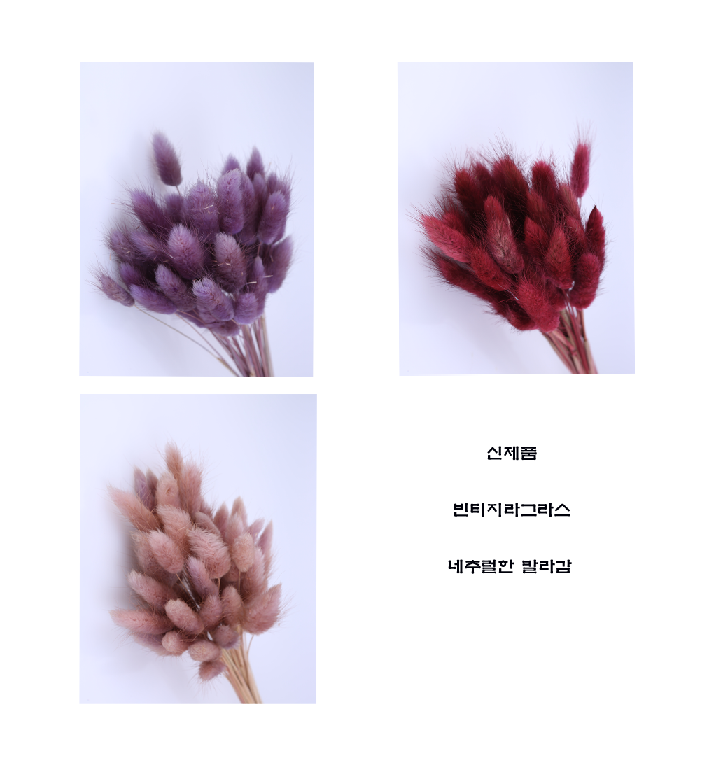 pl0001-d18.png