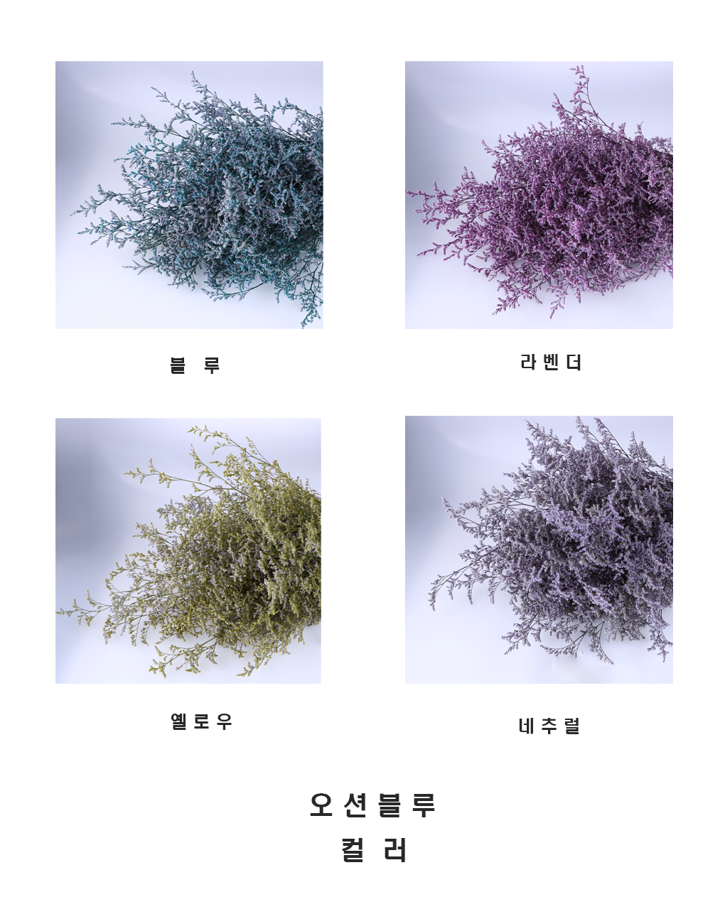 pm0009-d16.png
