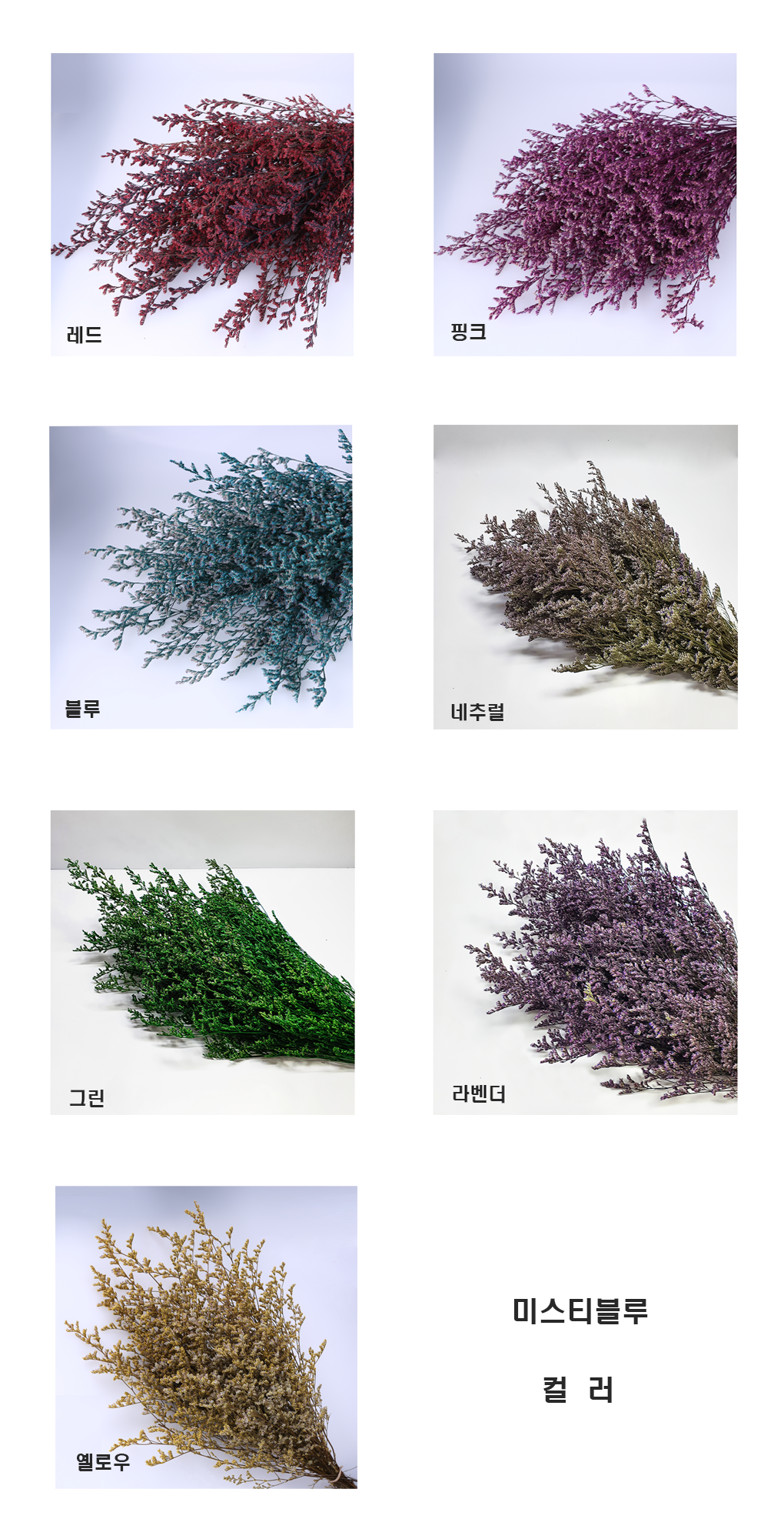 pm0009-d17_1.png