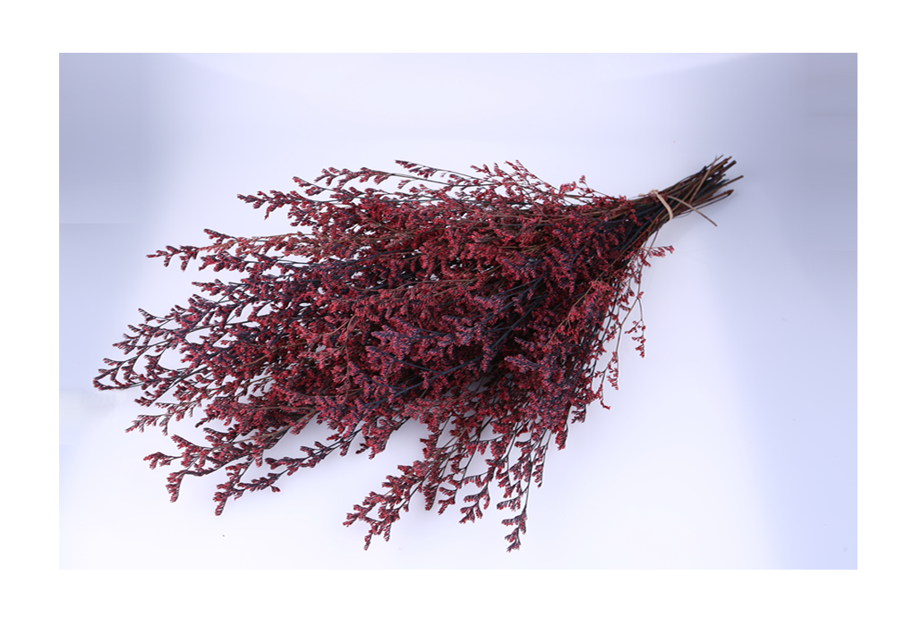 pm0009-d2_1.png