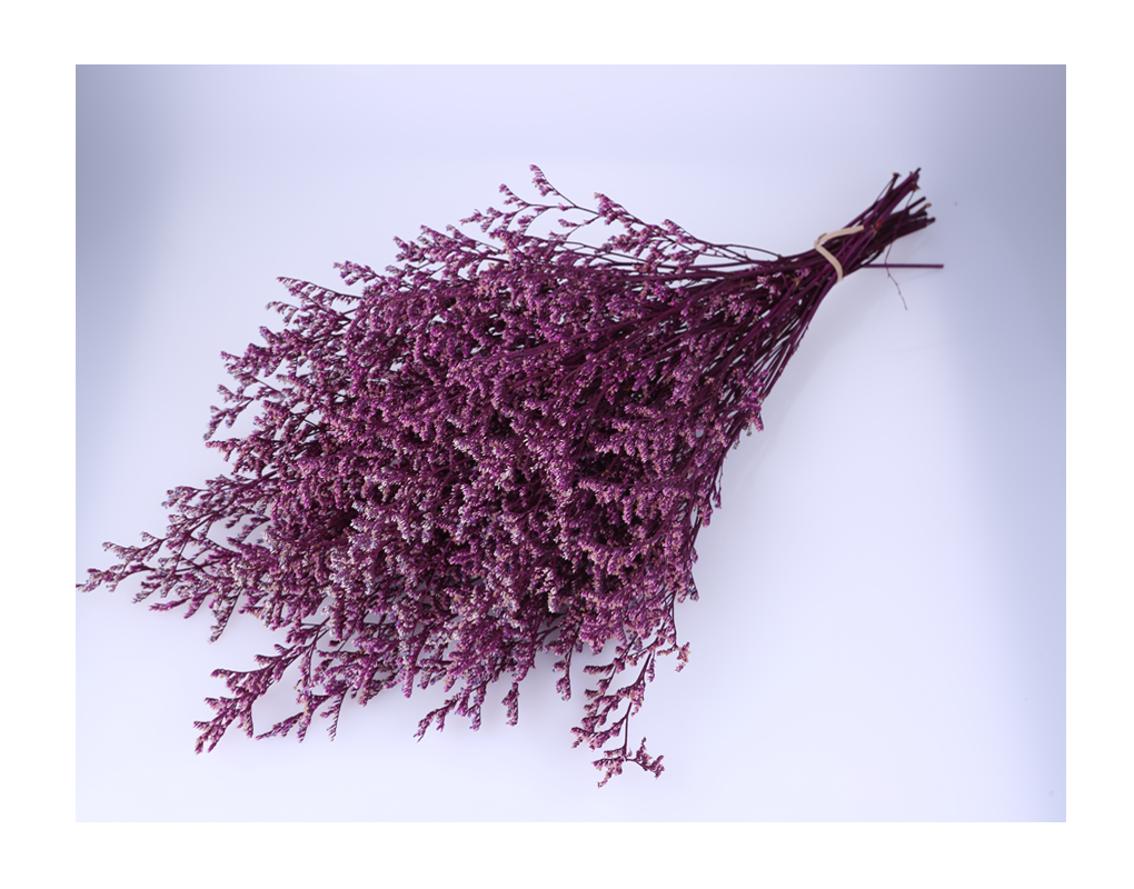 pm0009-d4_1_1.png