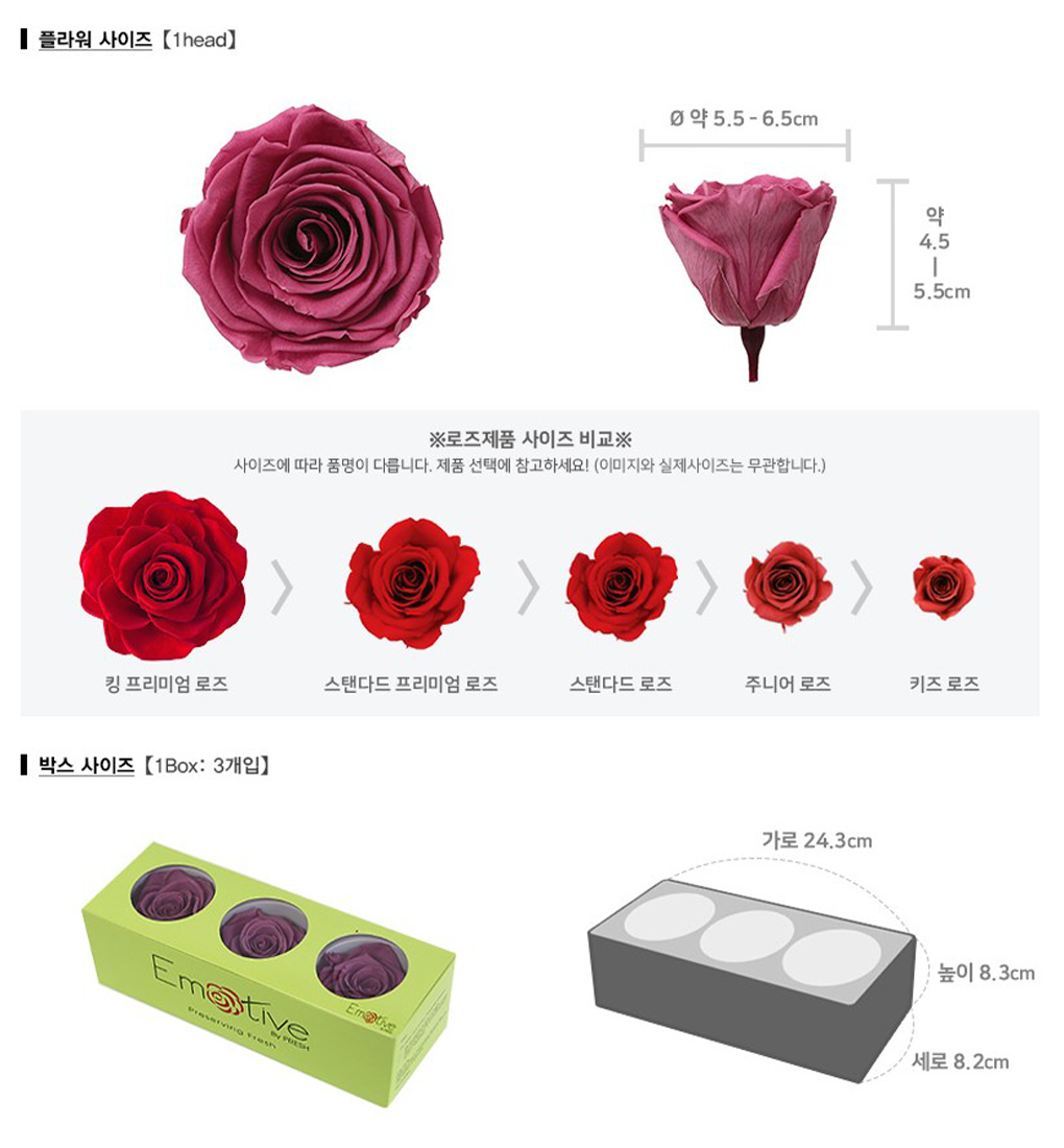 pro00029-d1.png