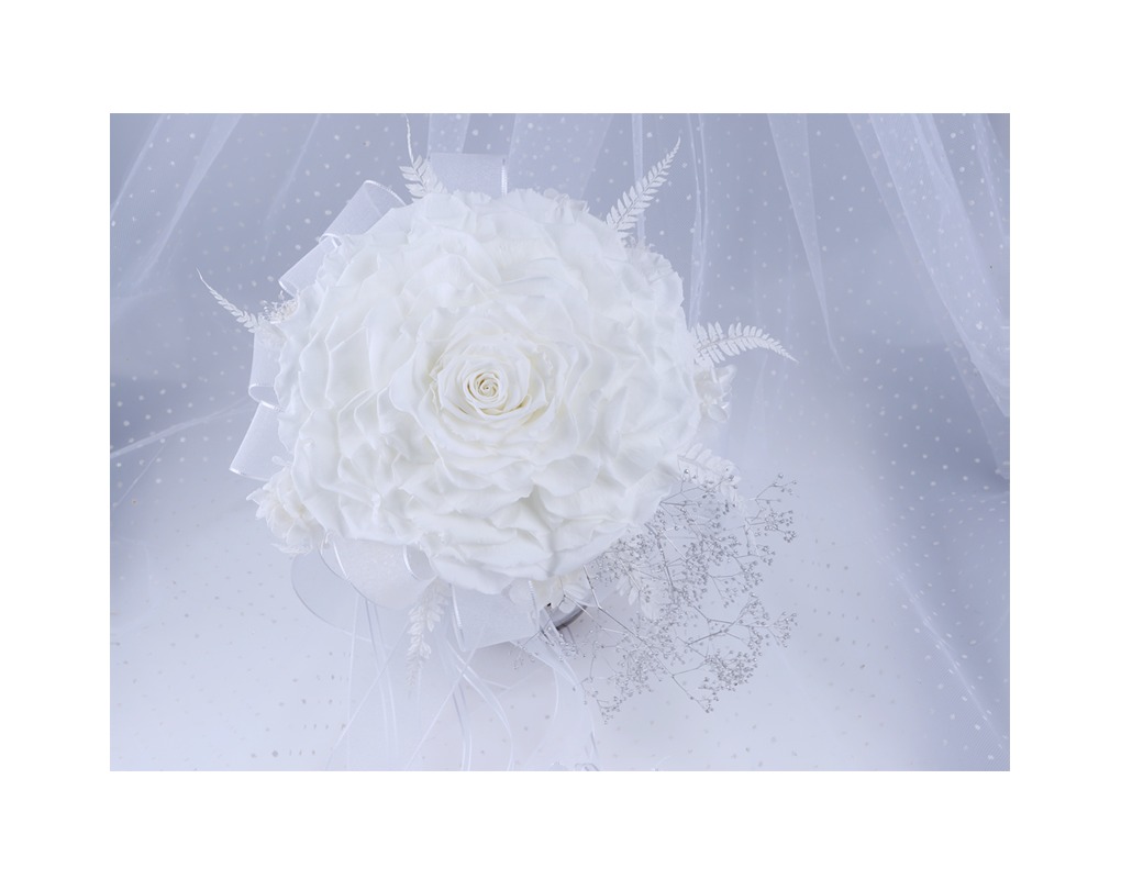 pro00029-d22.png