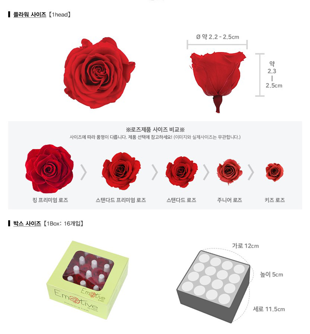 pro00029-d5.png