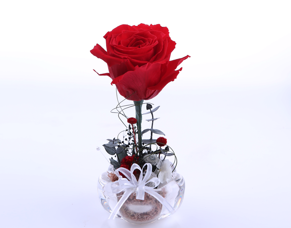 pro00029.png