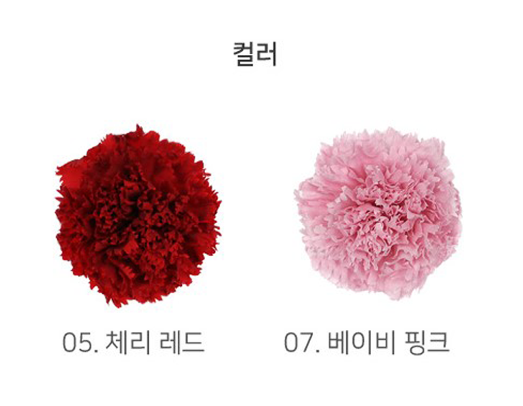 pro0029-d22.png