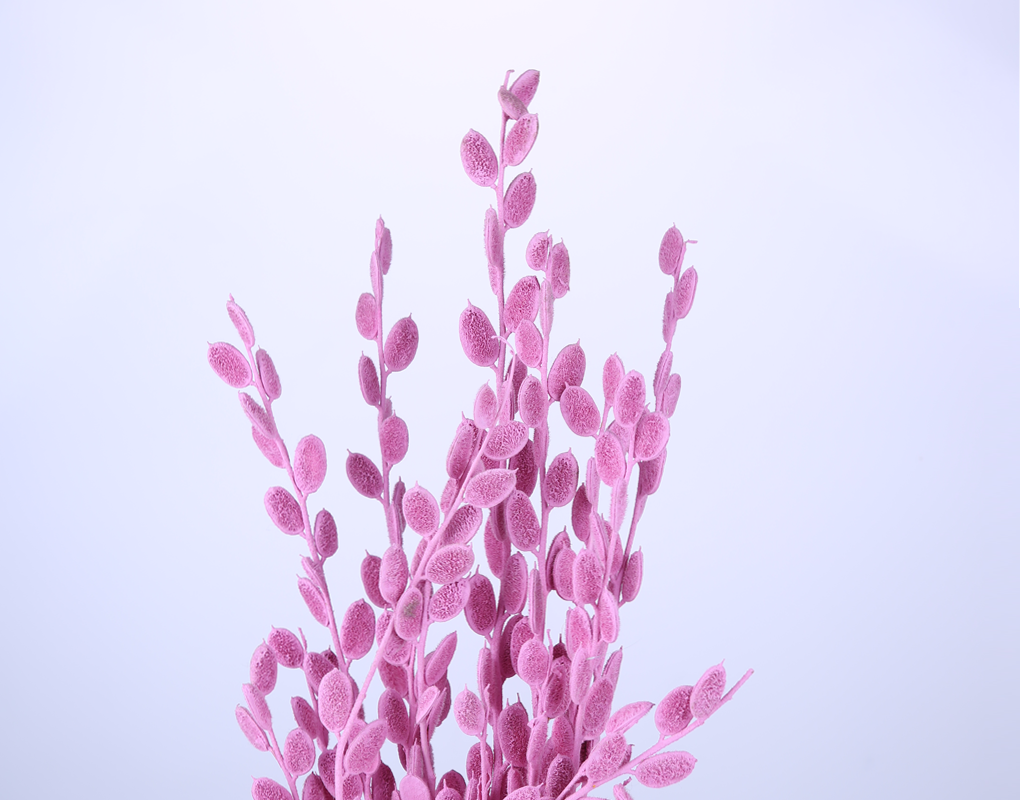pwh0030-d2.png