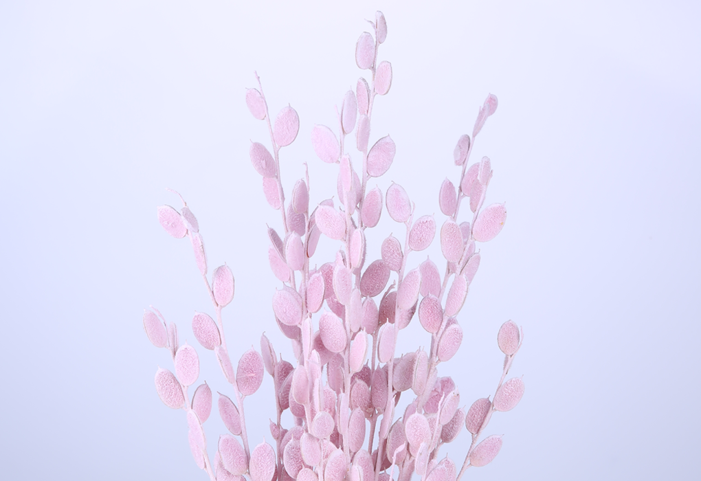 pwhi0030-d1.png